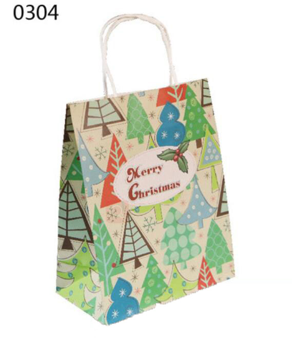 Gift Bag for Christmas-0304